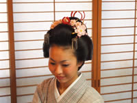 半かつらのご案内